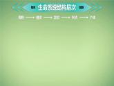 人教版2019高中生物选择性必修2课件1-1种群的数量特征第1课时(有限无水印版)