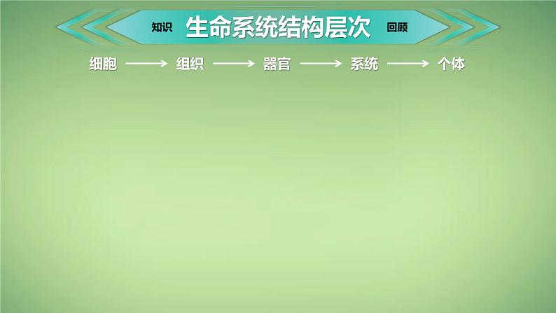 人教版2019高中生物选择性必修2课件1-1种群的数量特征第1课时(有限无水印版)02