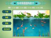 人教版2019高中生物选择性必修2课件1-1种群的数量特征第1课时(有限无水印版)