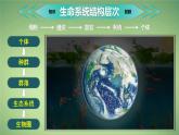 人教版2019高中生物选择性必修2课件1-1种群的数量特征第1课时(有限无水印版)