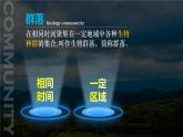 人教版2019高中生物选择性必修2课件2-1群落的结构第1课时(有限无水印版)