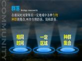 人教版2019高中生物选择性必修2课件2-1群落的结构第1课时(有限无水印版)
