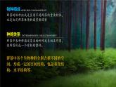 人教版2019高中生物选择性必修2课件2-1群落的结构第2课时(有限无水印版)