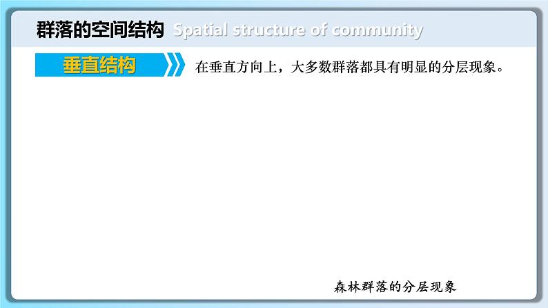 人教版2019高中生物选择性必修2课件2-1群落的结构第2课时(有限无水印版)06