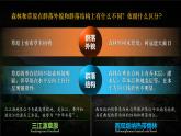 人教版2019高中生物选择性必修2课件2-2群落的类型(有限无水印版)