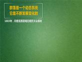 人教版2019高中生物選擇性必修2課件2-3群落的演替(有限無水印版)