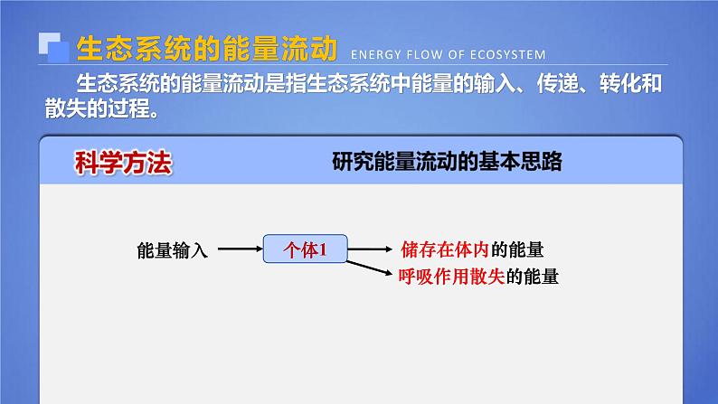 人教版2019高中生物选择性必修2课件3-2生态系统的能量流动(有限无水印版)第5页