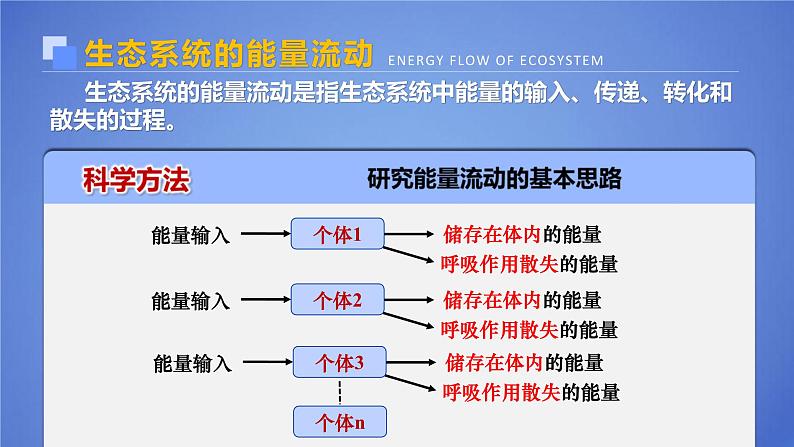 人教版2019高中生物选择性必修2课件3-2生态系统的能量流动(有限无水印版)第6页