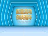 人教版2019高中生物选择性必修2课件3-3生态系统的物质循环第2课时(有限无水印版)