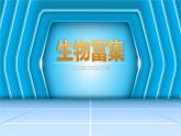 人教版2019高中生物选择性必修2课件3-3生态系统的物质循环第2课时(有限无水印版)