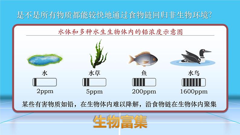 人教版2019高中生物选择性必修2课件3-3生态系统的物质循环第2课时(有限无水印版)07