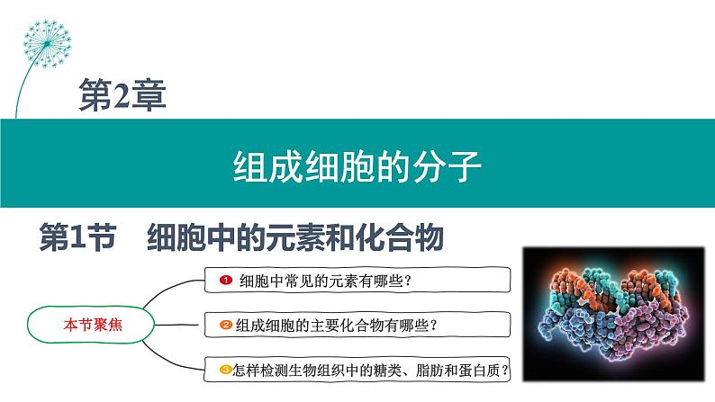 第1节 细胞中的元素和化合物课件2第1页