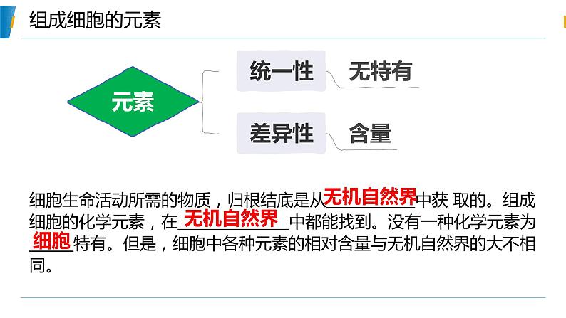 第1节 细胞中的元素和化合物课件2第4页