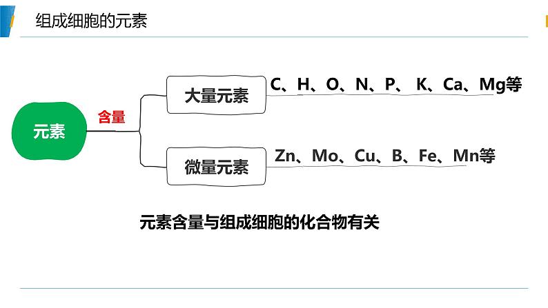 第1节 细胞中的元素和化合物课件2第7页