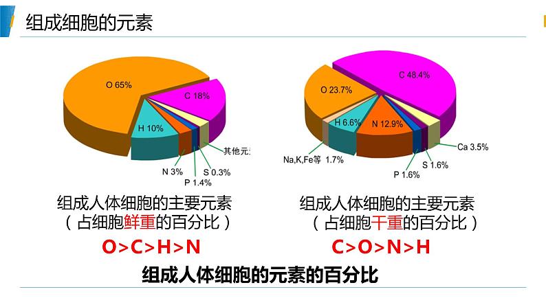 第1节 细胞中的元素和化合物课件2第8页