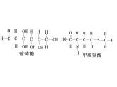 第3节 细胞中的糖类和脂质课件3