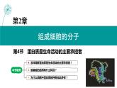 第4节 蛋白质是生命活动的主要承担者课件3
