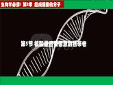 第5节 核酸是遗传信息的携带者课件2