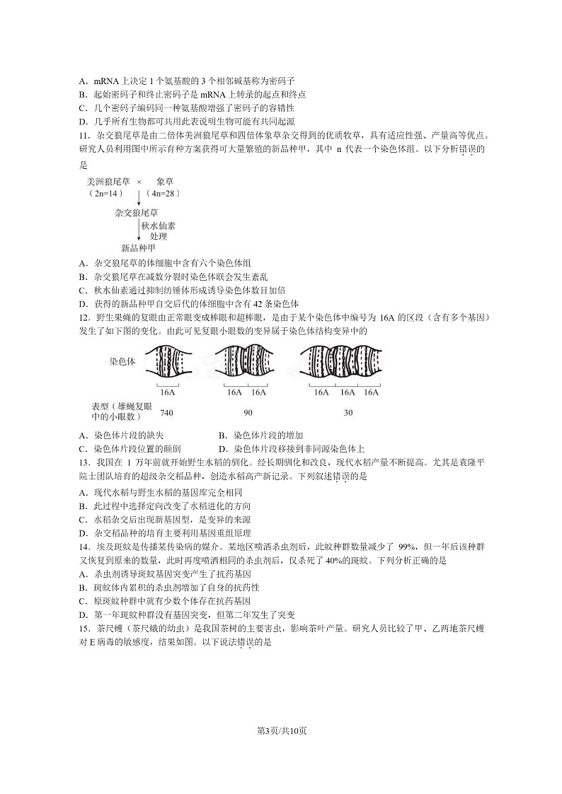 [生物]2024北京东城高一下学期期末生物试卷及答案第3页