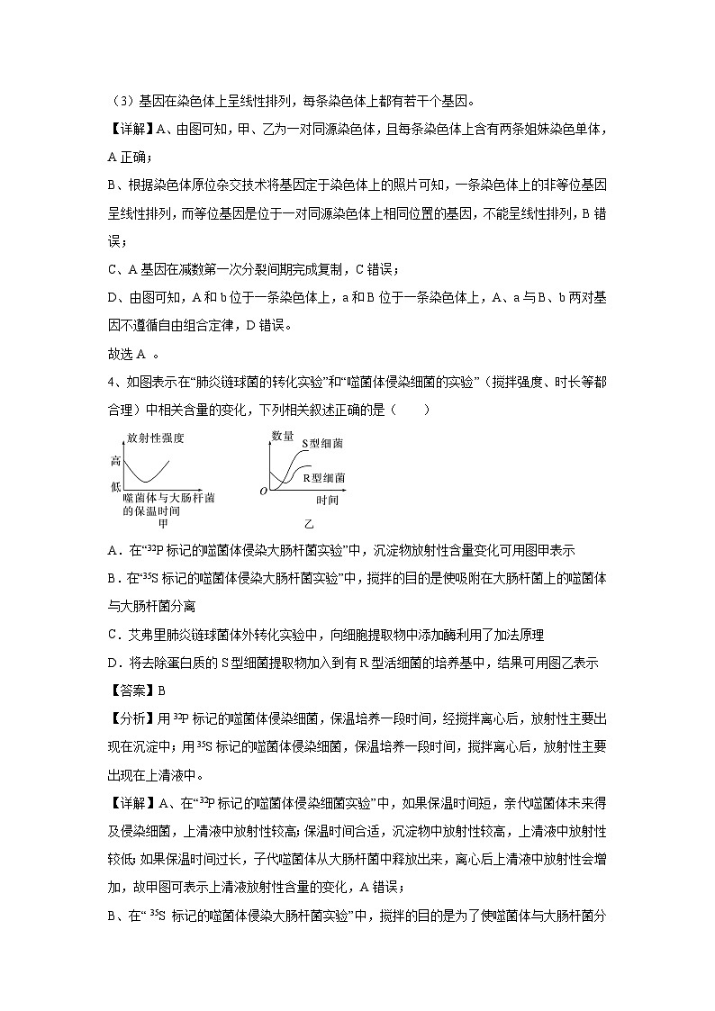 [生物]江苏省2023-2024学年高一生物下学期期末通关卷01(解析版)03