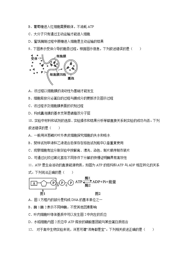 [生物]山东省2024年夏季普通高中学业水平合格考试模拟试卷(四)(解析版)03
