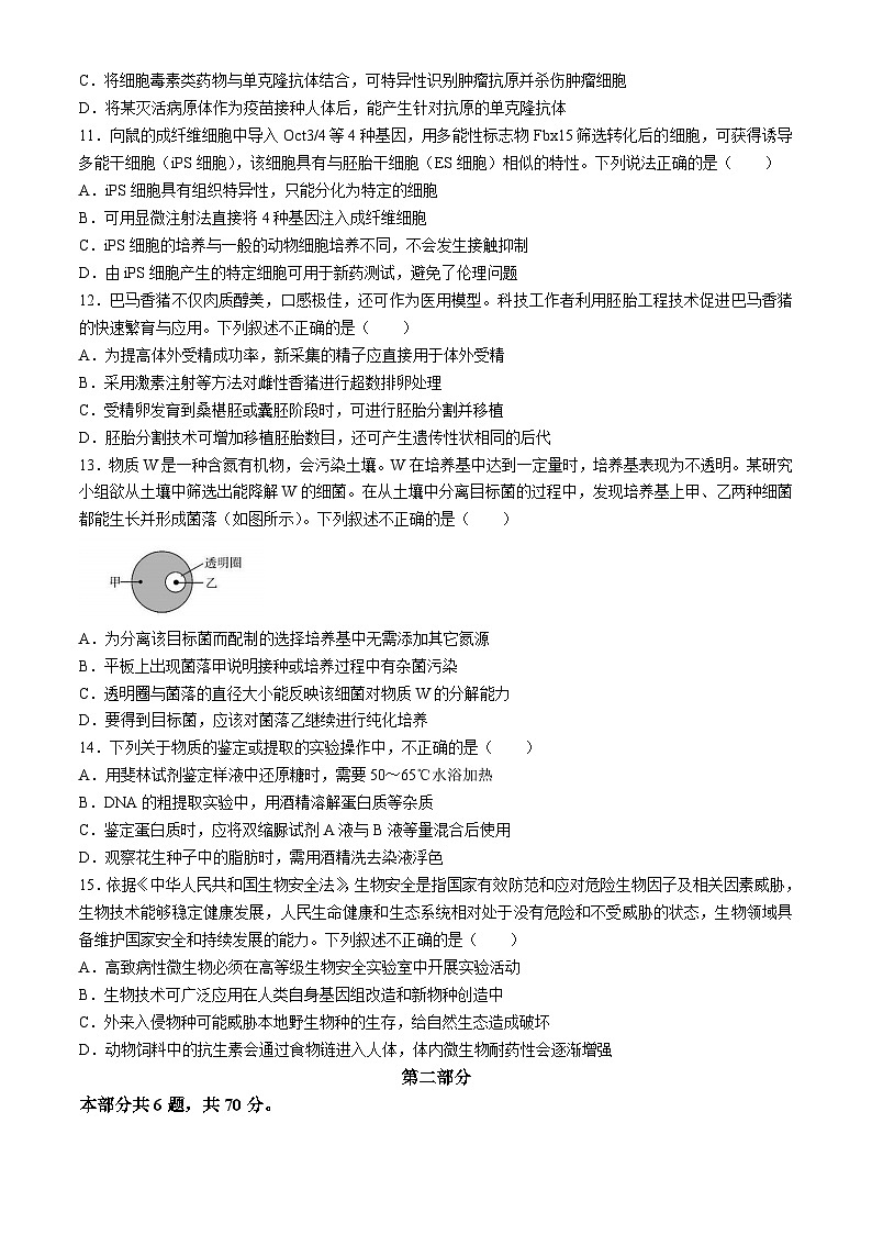 北京市石景山区2023-2024学年高二下学期期末考试生物试题03