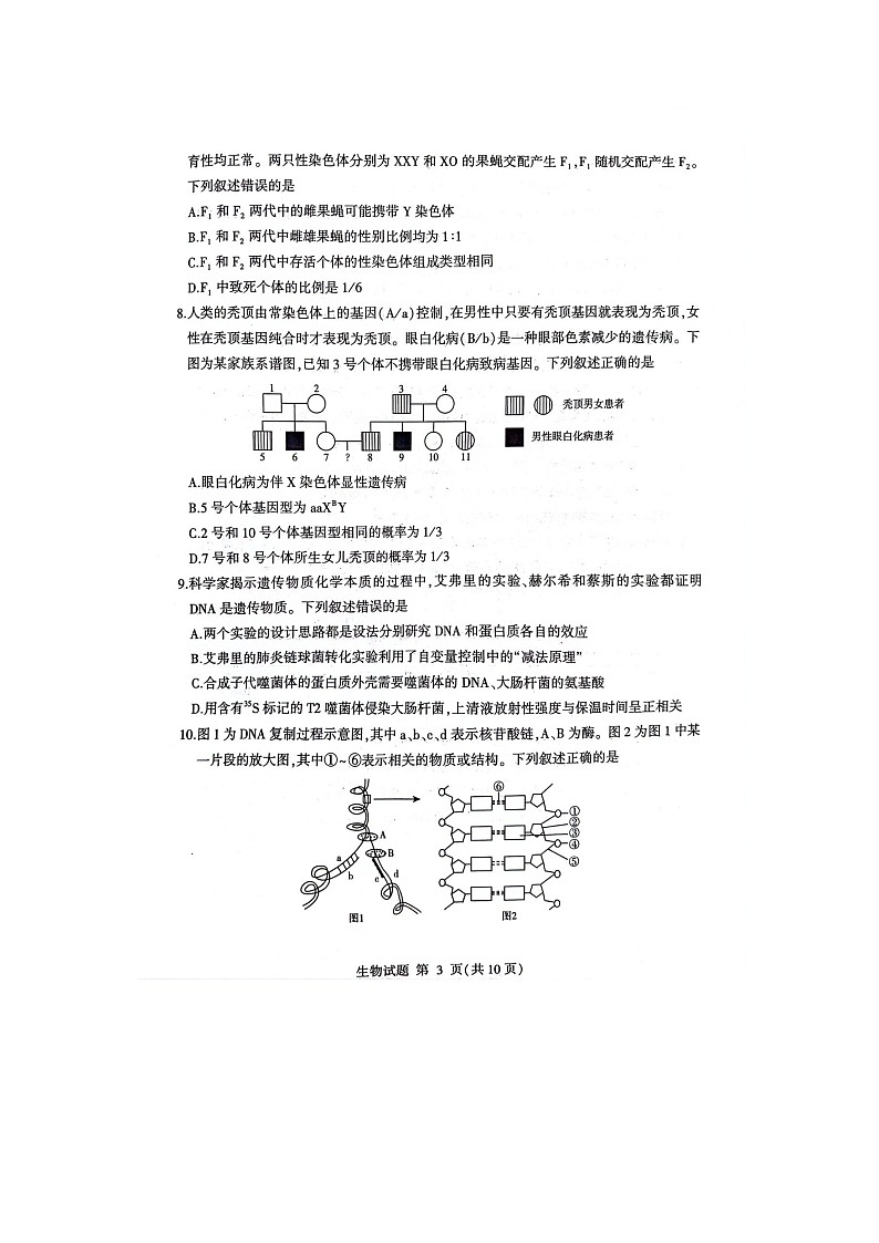 山东省临沂市2023-2024学年高一下学期期末考试生物试题03