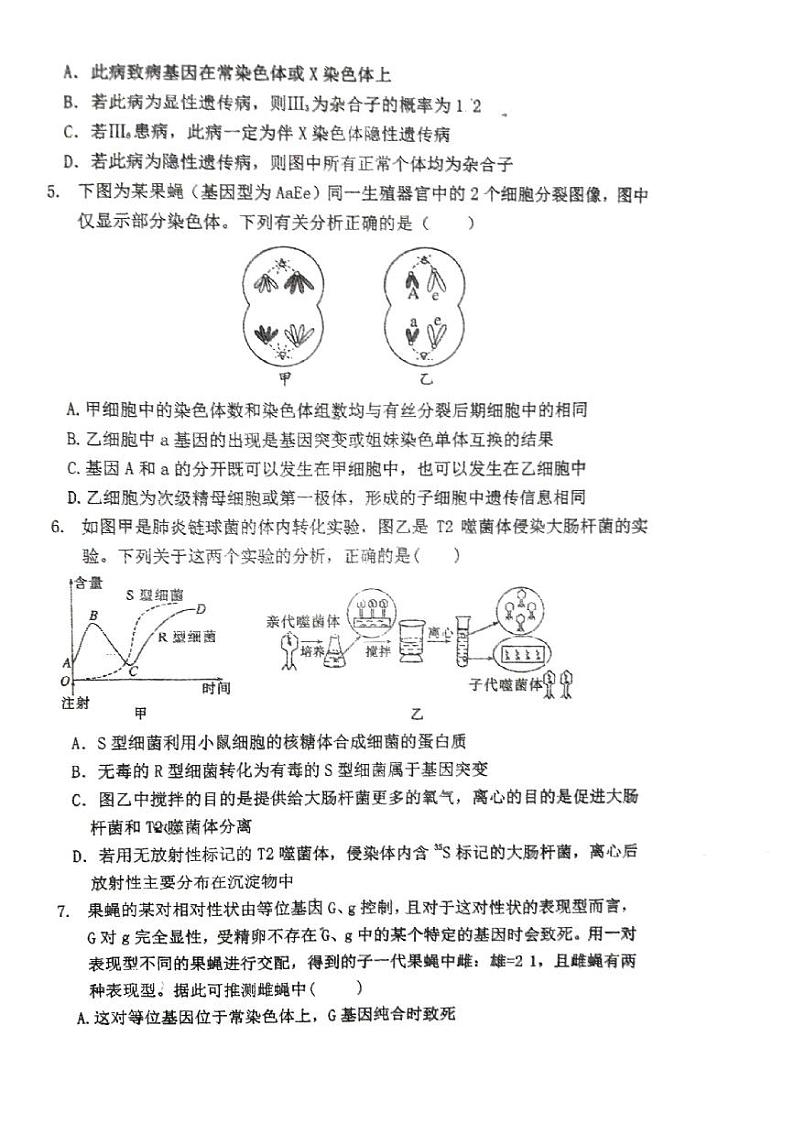 广东省湛江市霞山区2023-2024学年高一下学期7月期末生物试题02