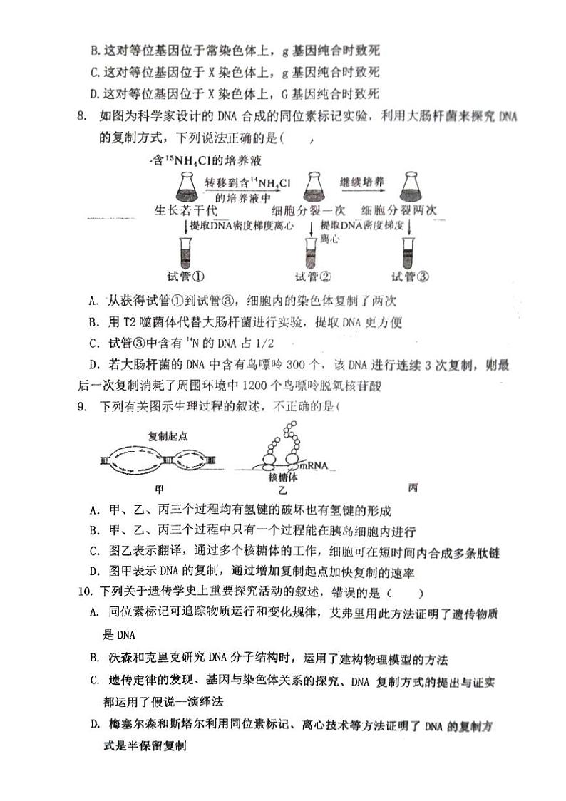 广东省湛江市霞山区2023-2024学年高一下学期7月期末生物试题03