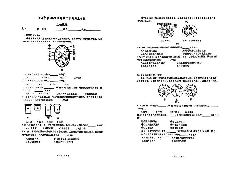 上海市上海中学2023-2024学年高一下学期生物期末试卷01
