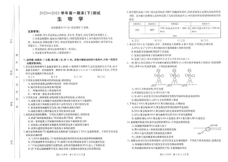 河南省新乡市2023-2024学年高一下学期7月期末生物试题01