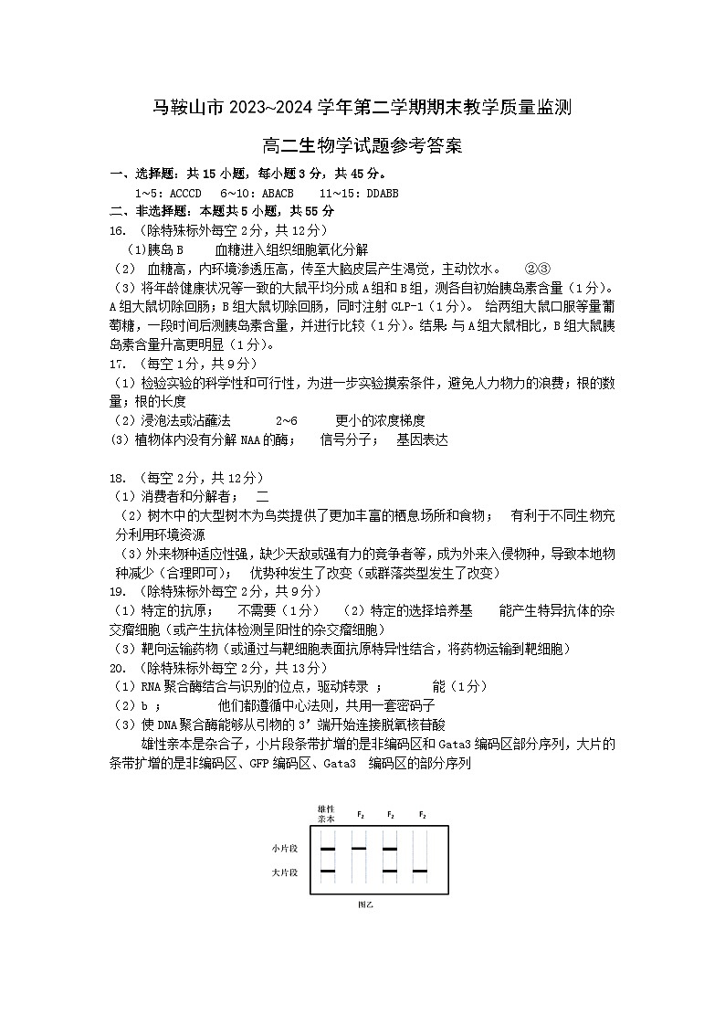 安徽省马鞍山市2023-2024学年高二下学期7月期末生物试题01
