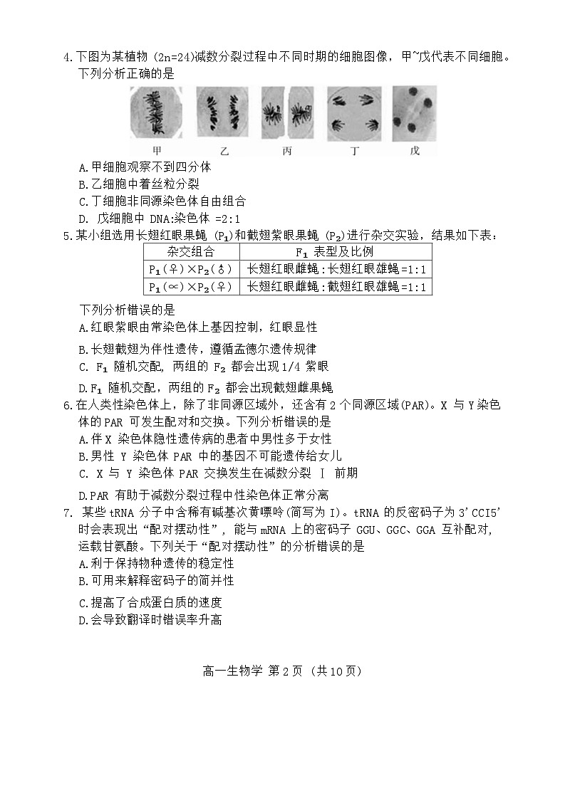 北京市丰台区2023-2024学年高一下学期7月期末考试生物试卷02