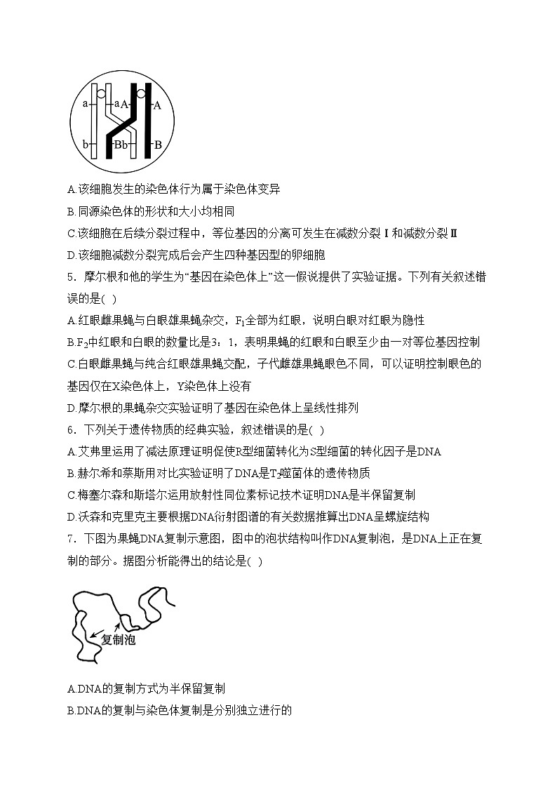 河北省邯郸市2023-2024学年高一下学期期末质量检测生物试卷(含答案)第2页