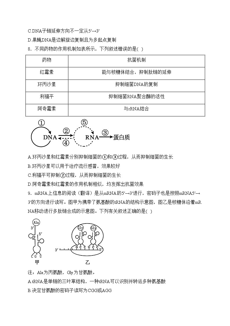 河北省邯郸市2023-2024学年高一下学期期末质量检测生物试卷(含答案)第3页