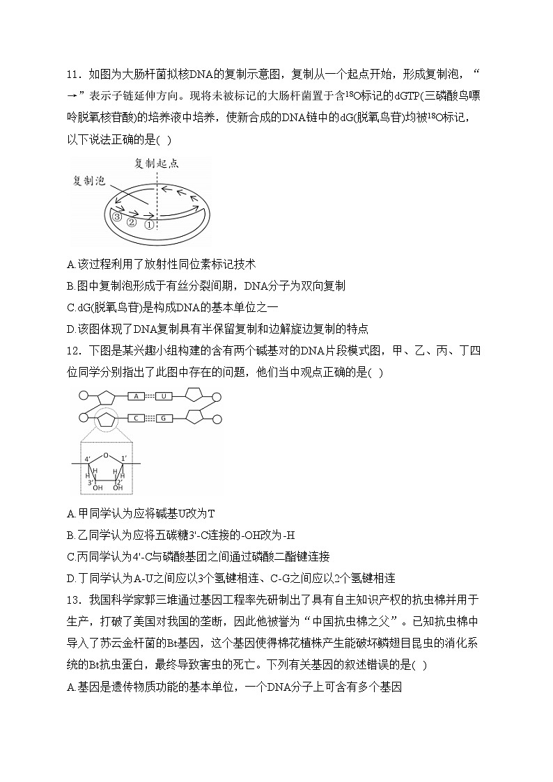 湖北省2023-2024学年高一下学期期末考试生物试卷(含答案)第3页