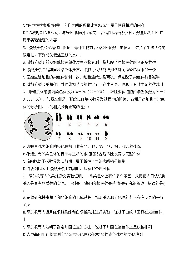湖北省部分省级示范高中2023-2024学年高一下学期期末测试生物试卷(含答案)第2页