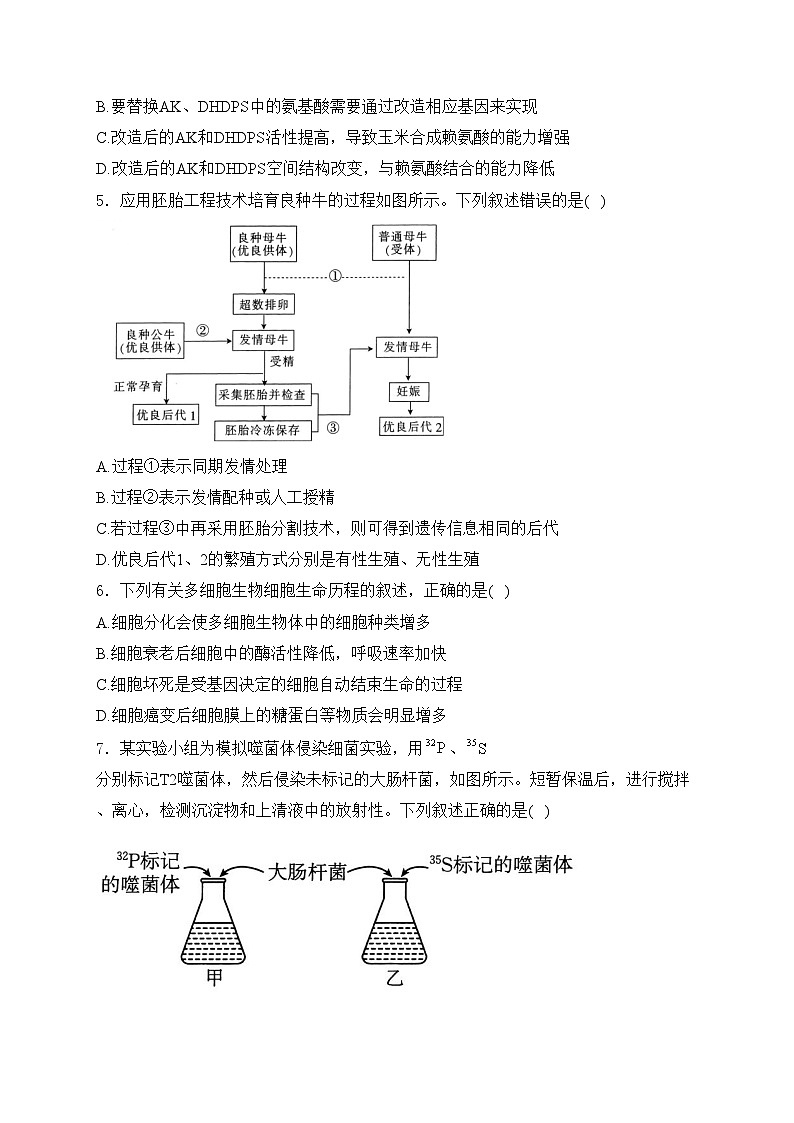 湖南省长沙市第一中学、长沙市一中城南中学等多校2023-2024学年高二下学期期中考试生物试卷(含答案)02