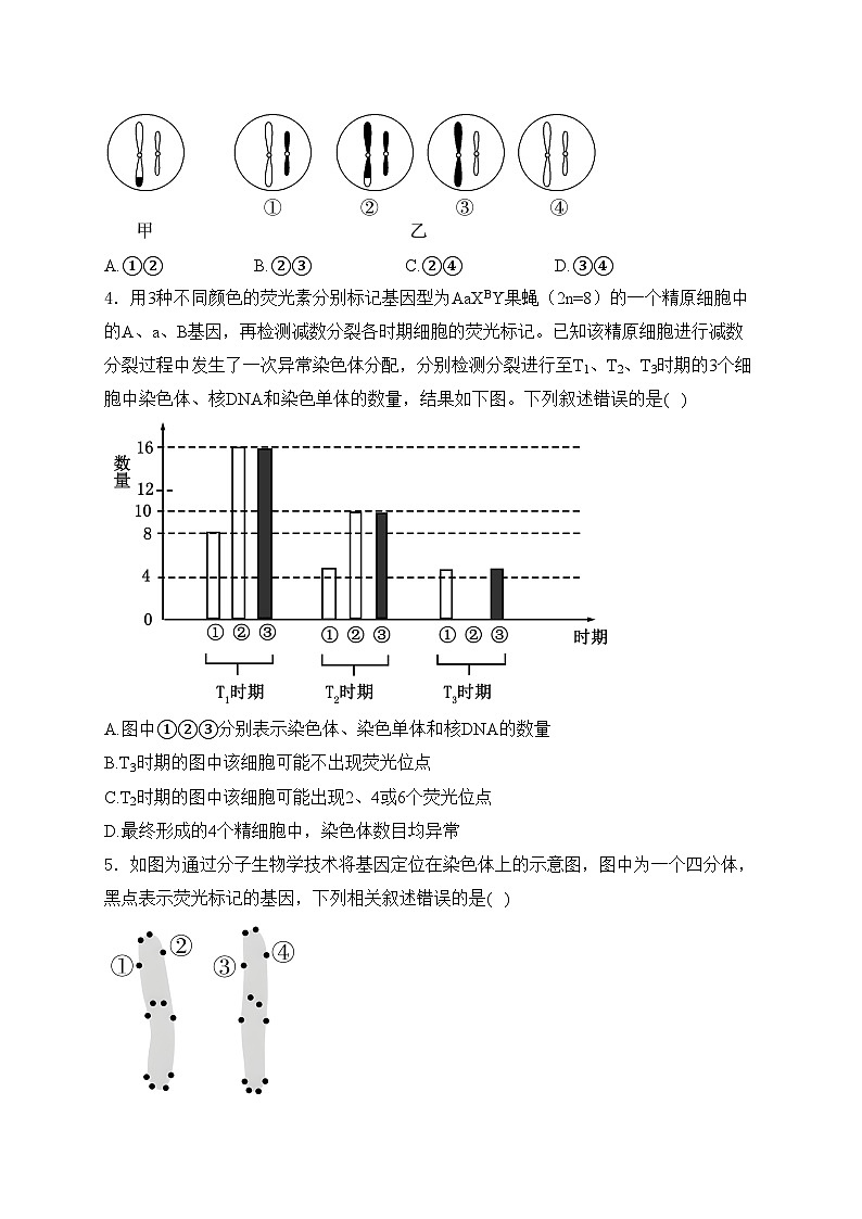 江西省上饶市第二中学2023-2024学年高一下学期5月生物测试卷(含答案)第2页