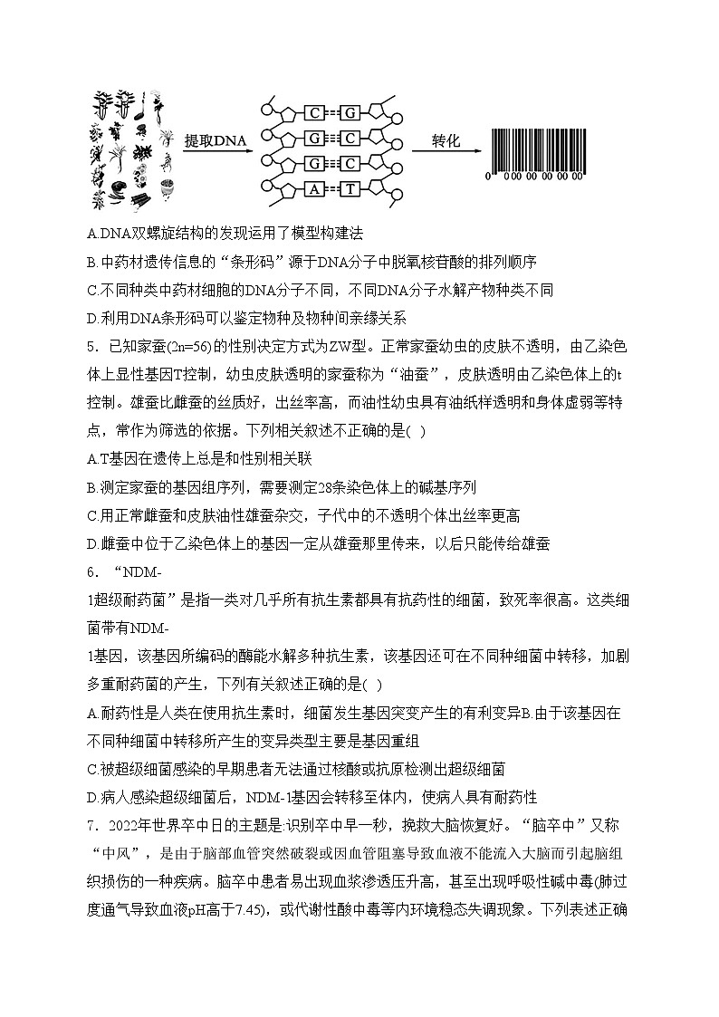 辽宁省丹东市2024届高三下学期总复习质量测试（一）生物试卷(含答案)02
