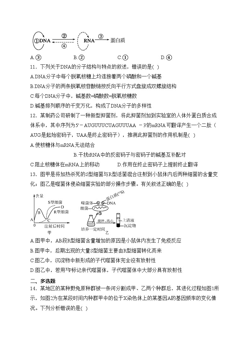 邵阳市第二中学2023-2024学年高一下学期6月期末考试生物试卷(含答案)02