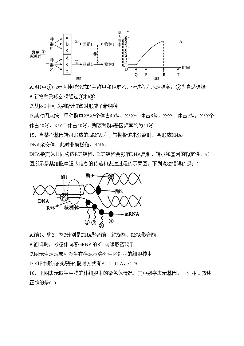邵阳市第二中学2023-2024学年高一下学期6月期末考试生物试卷(含答案)03