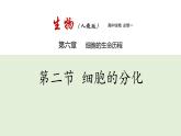新人教版  高一 生物必修一  第六章 第二节  细胞的分化  课件ppt