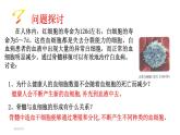 新人教版  高一 生物必修一  第六章 第二节  细胞的分化  课件ppt