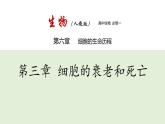 新人教版  高一 生物必修一  第六章 第三节  细胞的衰老和死亡   课件ppt
