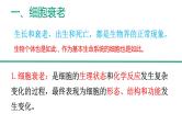 新人教版  高一 生物必修一  第六章 第三节  细胞的衰老和死亡   课件ppt