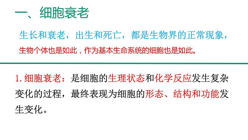 新人教版  高一 生物必修一  第六章 第三节  细胞的衰老和死亡   课件ppt04