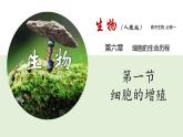 新人教版  高一 生物必修一  第六章 第一节  细胞的增殖  课件ppt