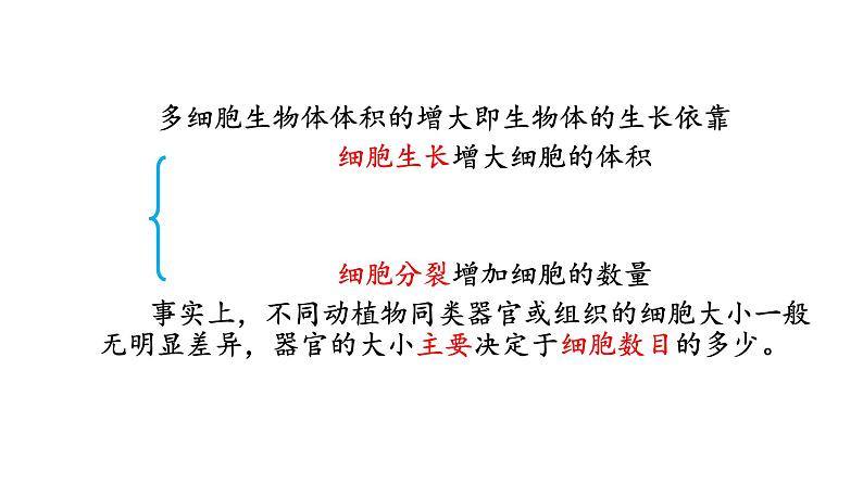 新人教版  高一 生物必修一  第六章 第一节  细胞的增殖  课件ppt第4页