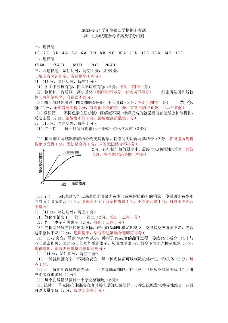 山东省枣庄市2024年高二下学期期末教学质量检测 生物试题01